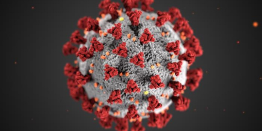 a close-up view of the coronavirus germ
