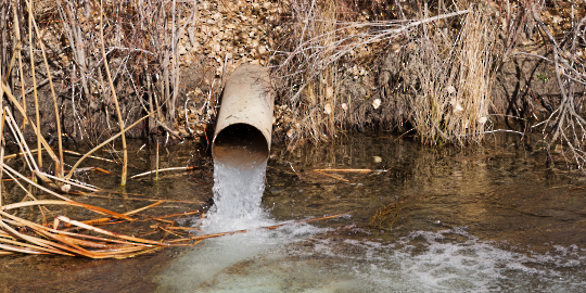 a pipe emptying water into a stream in the woods 