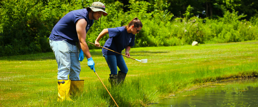 Two LCPH mosquito interns dipping into a pond to check for mosquitoes.