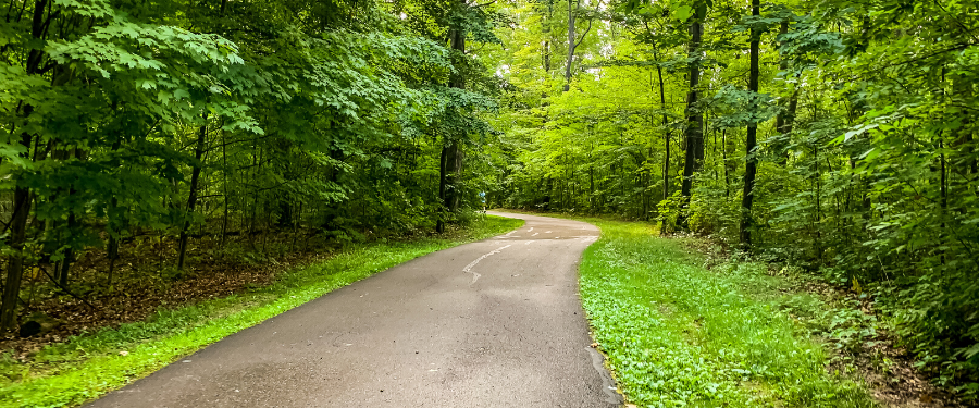 A paved path leads into verdant woods.