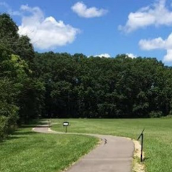 a path extending into the woods