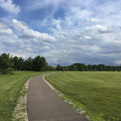 a repaired trail