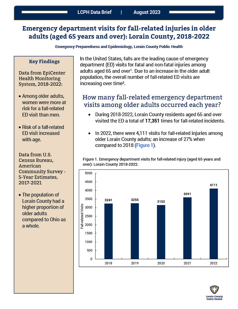 The first page of the linked data brief