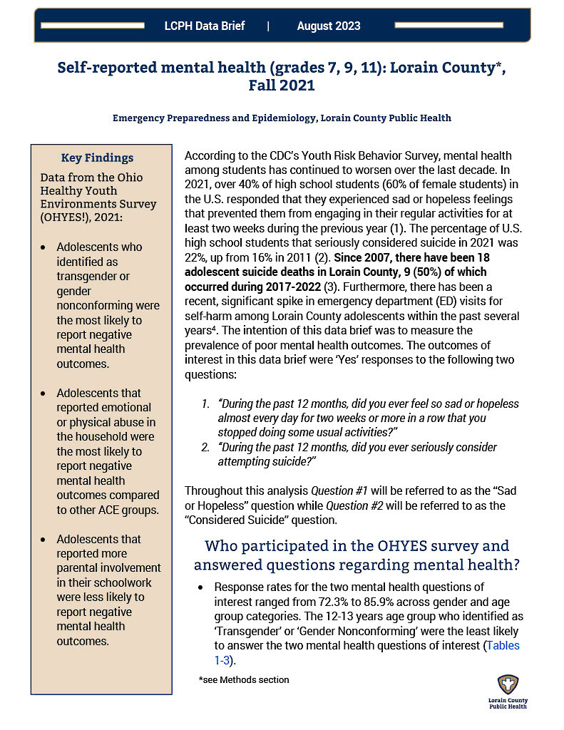 The first page of the linked data brief