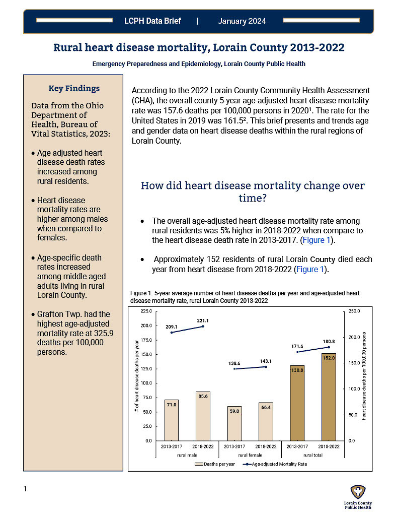 The first page of the linked data brief
